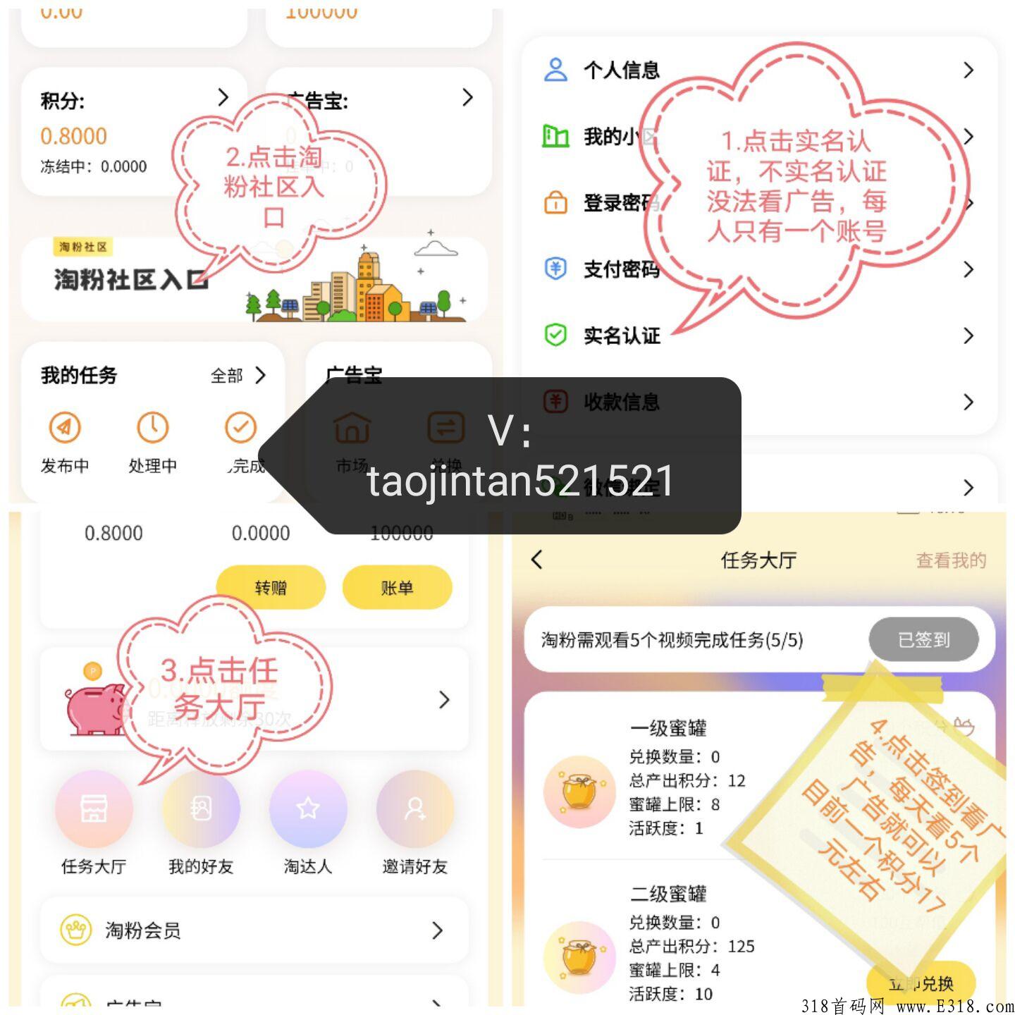 本月首码，淘粉生活首码每天长久稳定