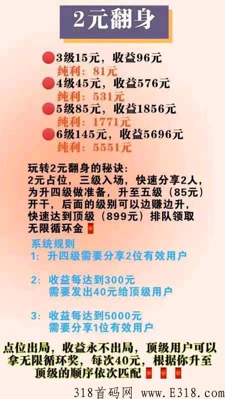 2元翻身项目，首码刚出快上！