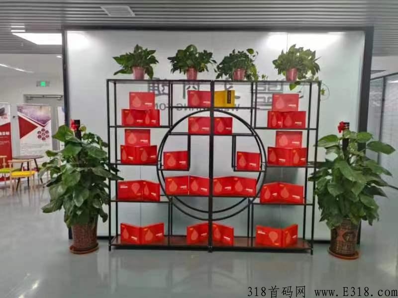 文商通唯一一家与辽宁当代交易所深度捆绑交易所托底，绝对竞拍界天花板，秒杀市面一切项目