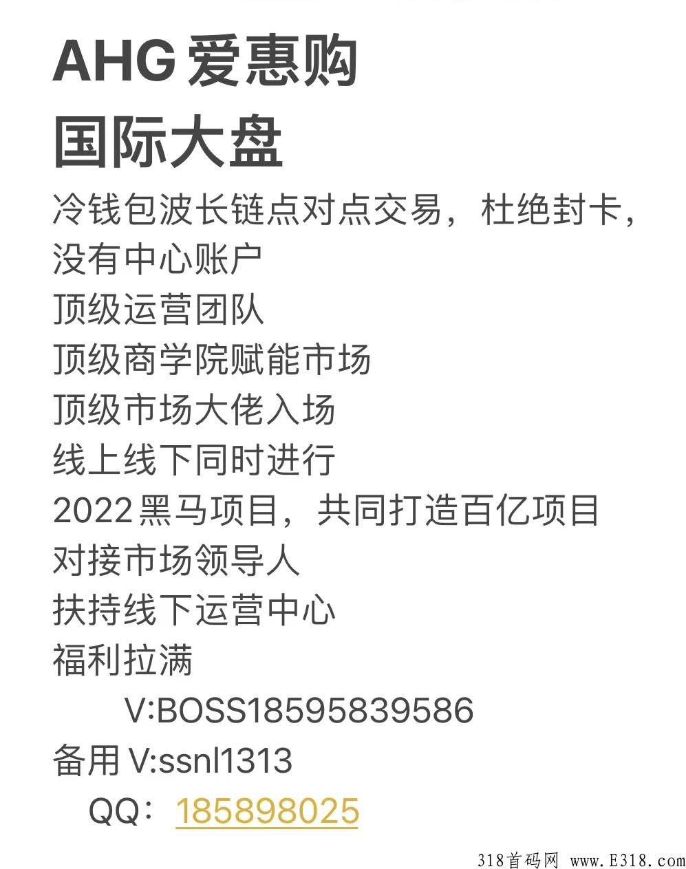 AHG爱惠购竞拍+消费增值，地推大项目