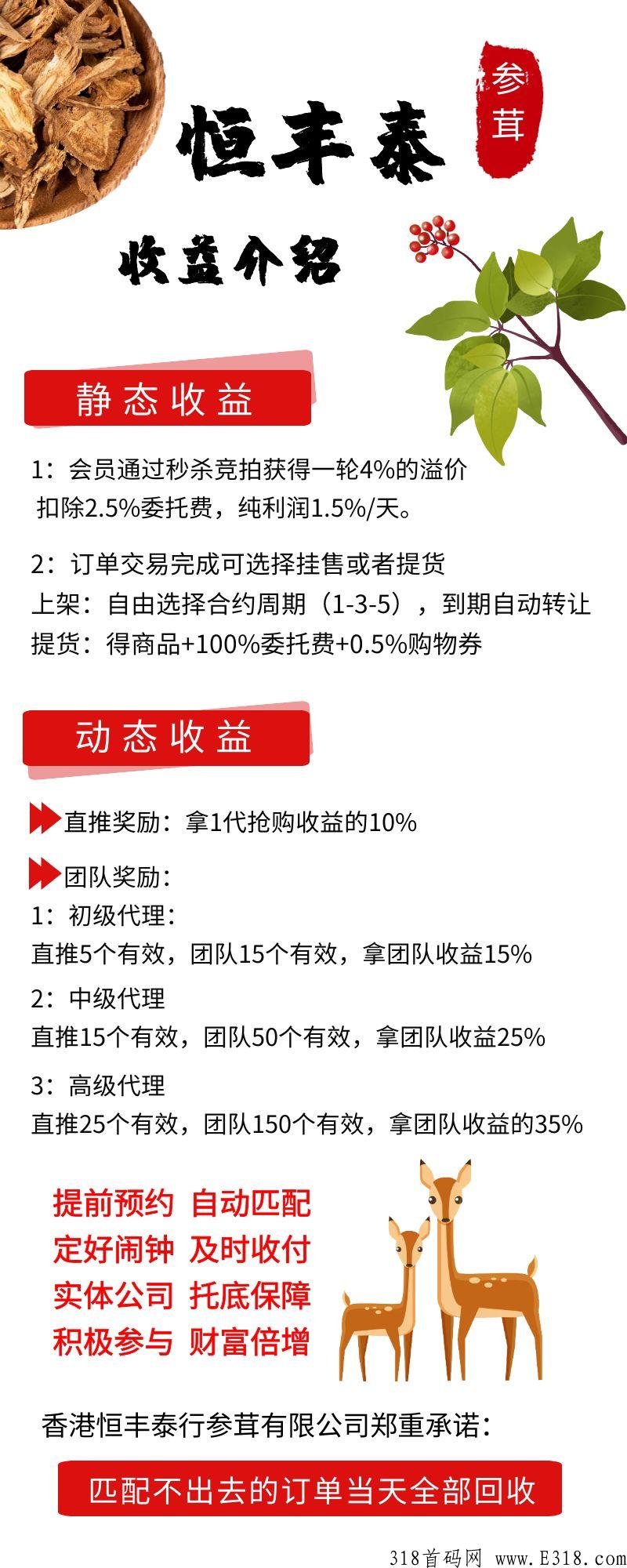 （恒丰泰商城）火热项目，最高扶持