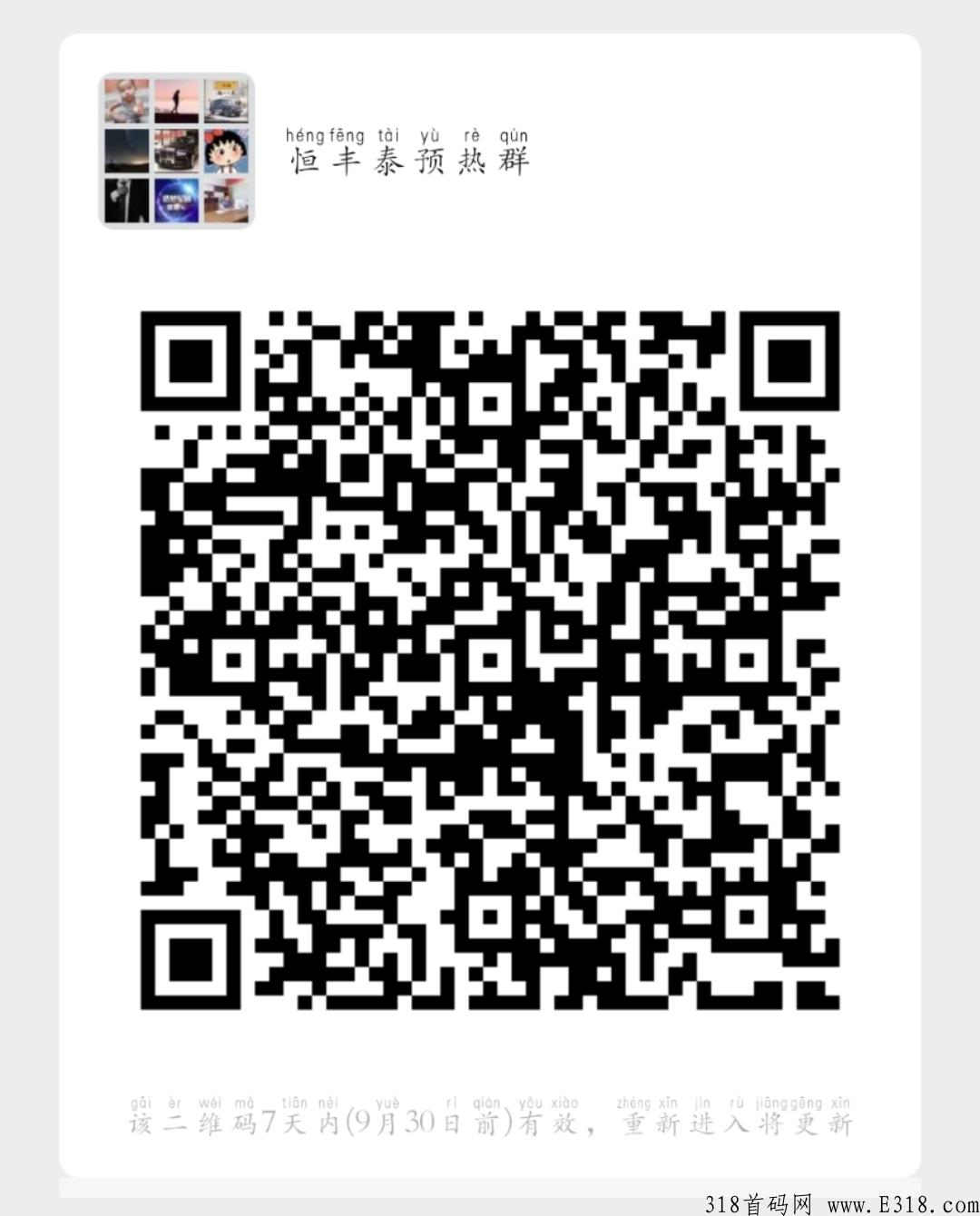 （恒丰泰商城）火热项目，最高扶持