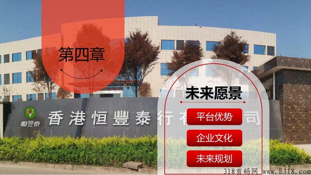（恒丰泰商城）火热项目，最高扶持