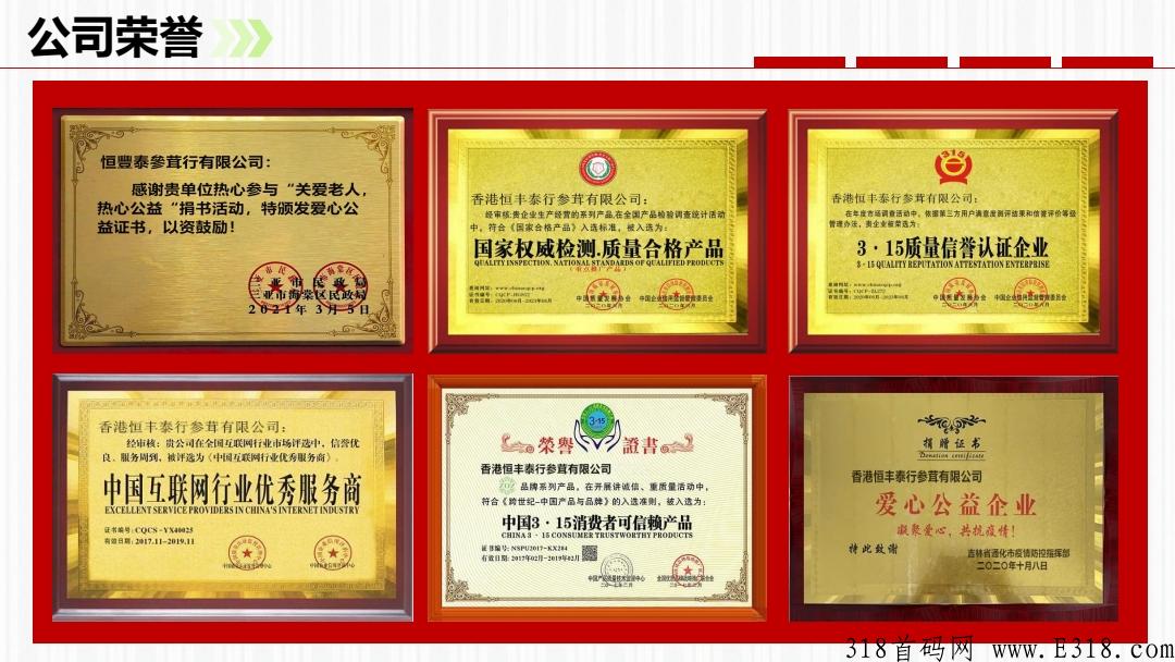 （恒丰泰商城）火热项目，最高扶持