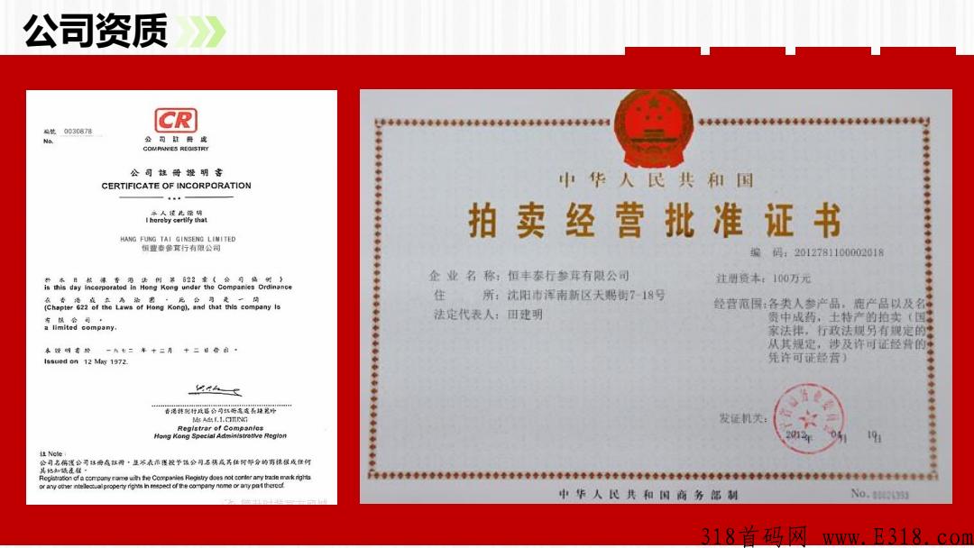 （恒丰泰商城）火热项目，最高扶持