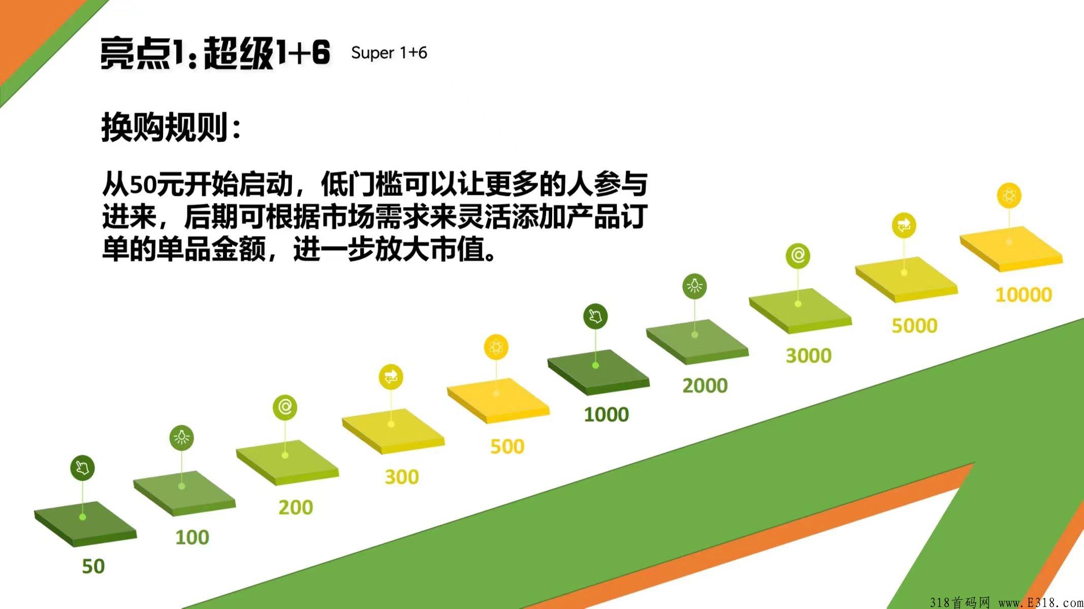 玖玖臻选，超级换购无线代扶持