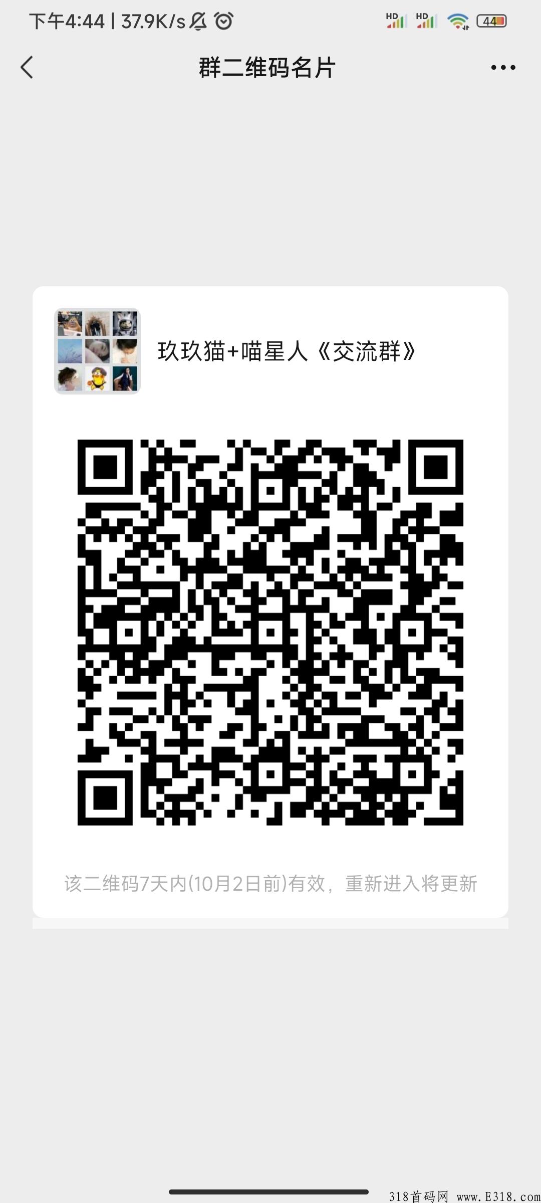 首码对接团队长，一天几十，喵星人自动点赞