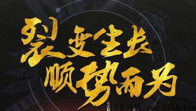 新火热项目，大成小艾泰山众筹模式，玩法互联网热门项目
