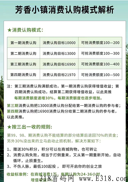 芳香小镇（泰山众筹）模式玩法，互联网热门项目分销盘口首码