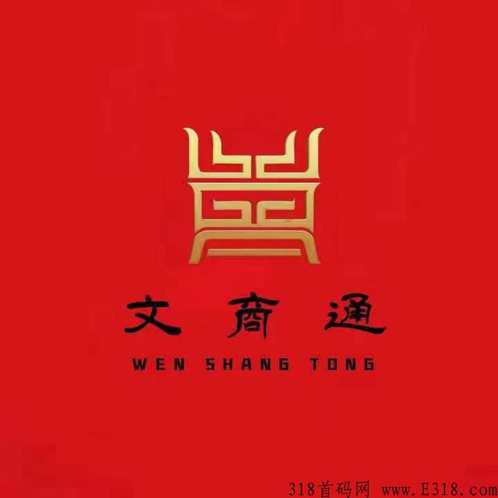 下月初竞拍首码《文商通》对接团队长，2分钟带你了解