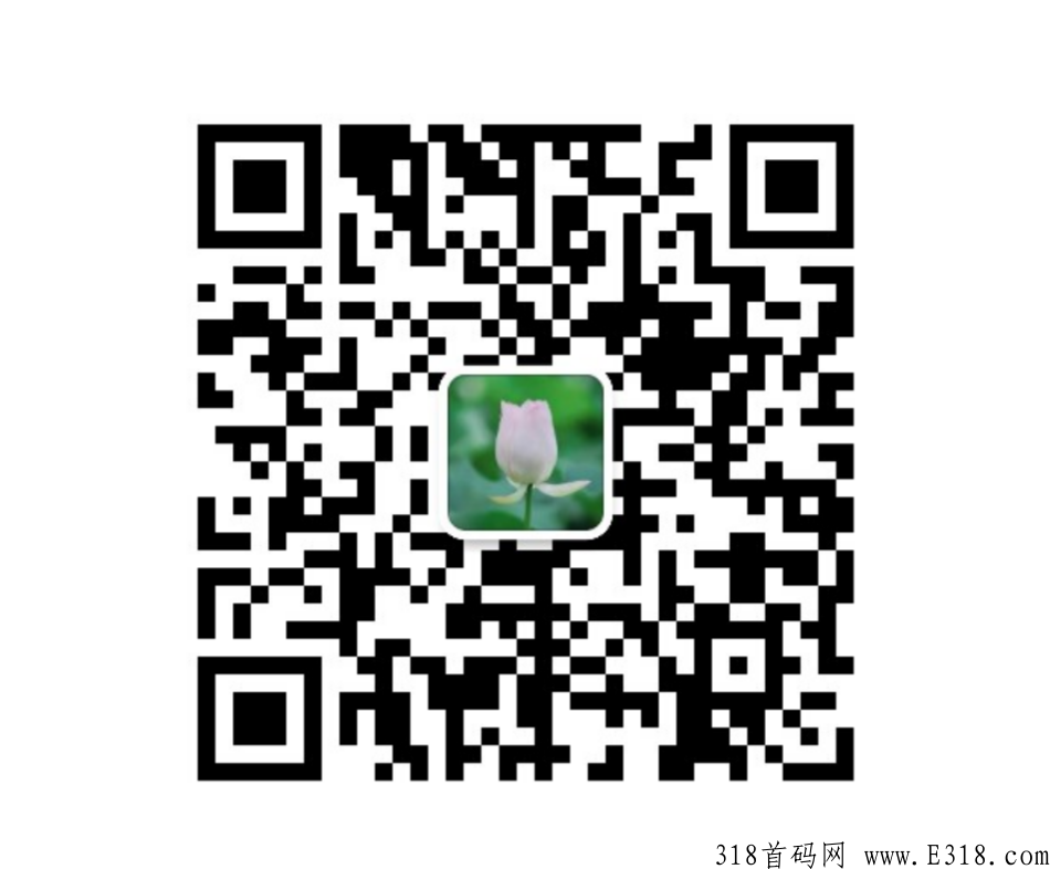 本月底王炸首码项目，云米汇购，官方对接，扶持高