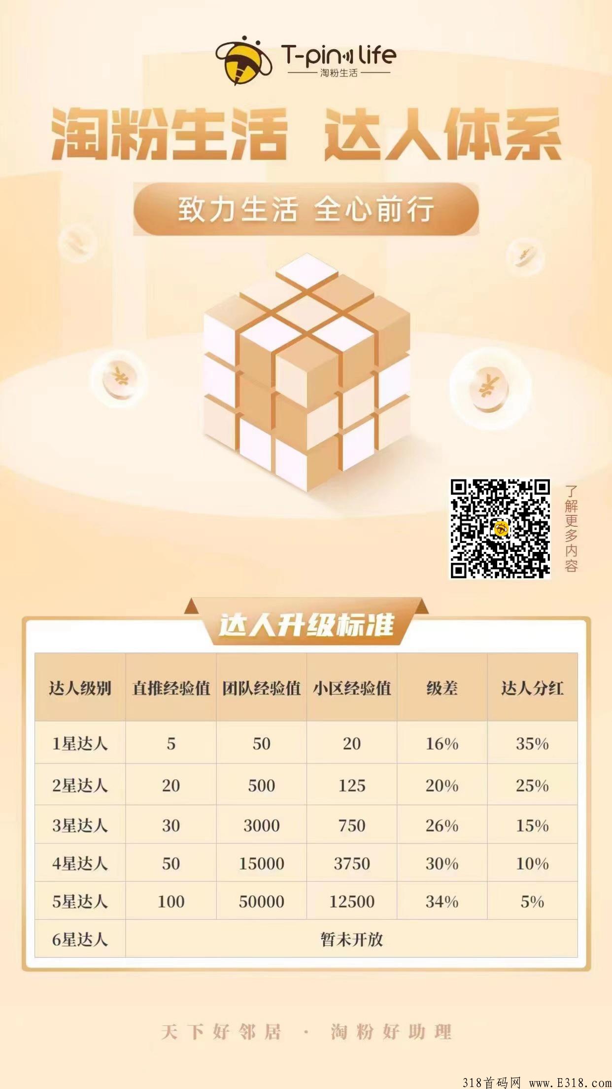 淘粉生活，扶持对接团队长