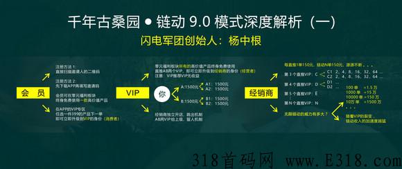 【闪电揭秘】千年古桑园是传销吗？