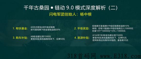 【闪电揭秘】千年古桑园是传销吗？