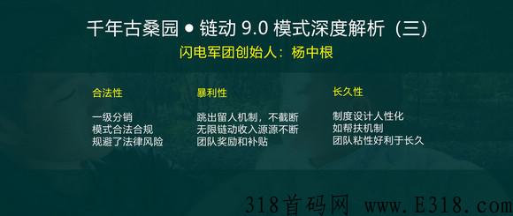 【闪电揭秘】千年古桑园是传销吗？