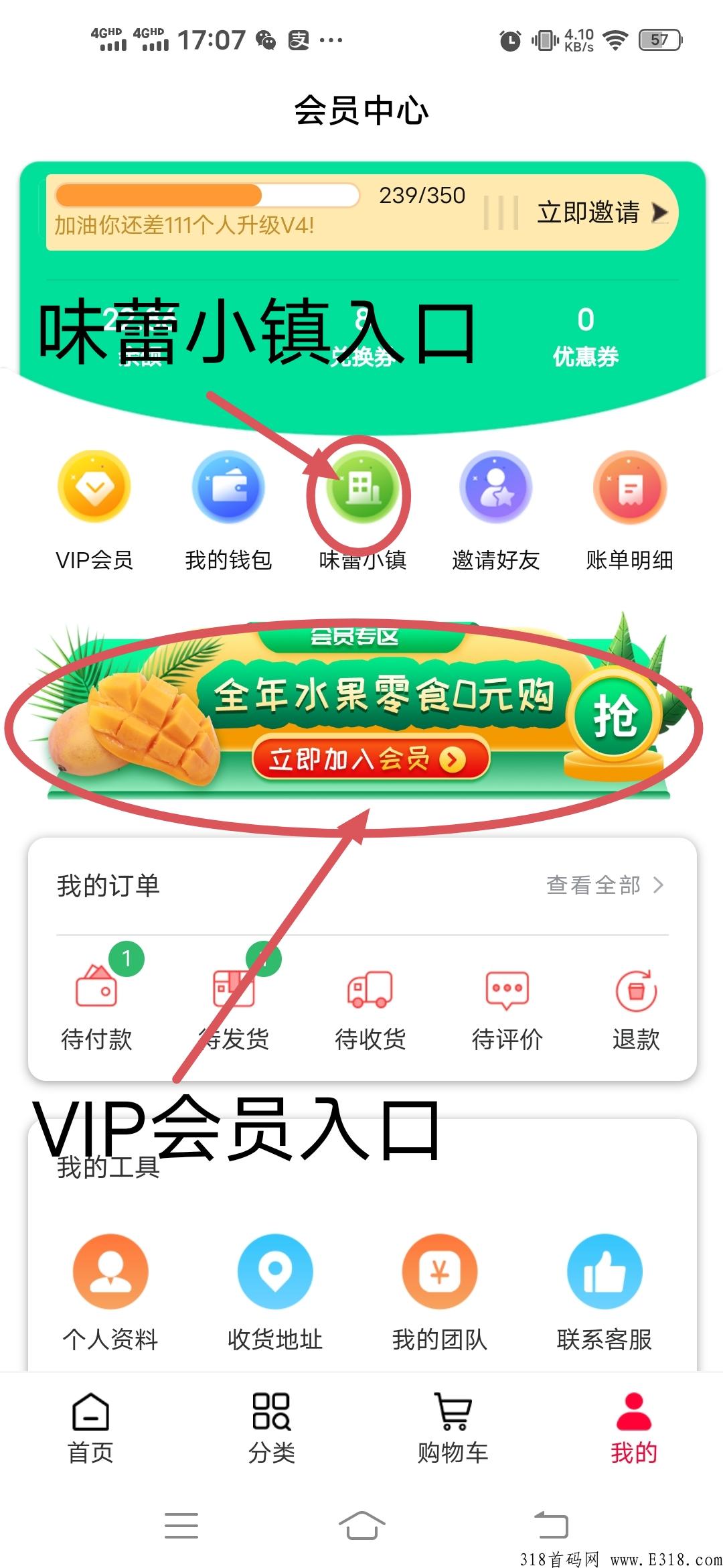首码，味蕾稀品，每天分奖励，提现已到账