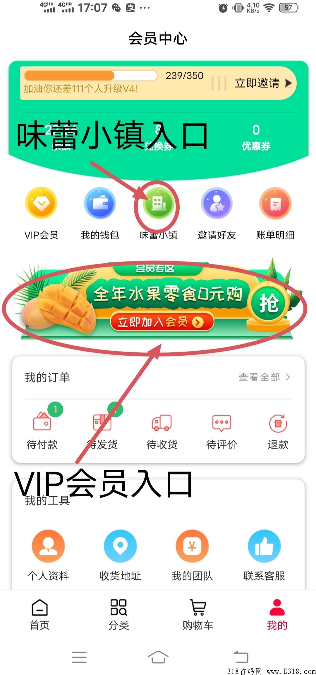 味蕾小镇，购物白嫖永久分奖励，全网最稳的项目