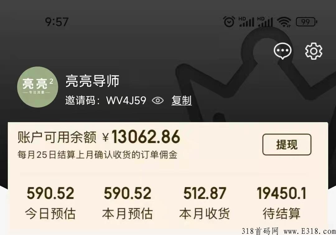 全网火爆稳定持久项目，高省合伙人招募中