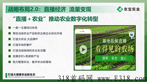 农宝实业长久项目全网对接待遇置顶