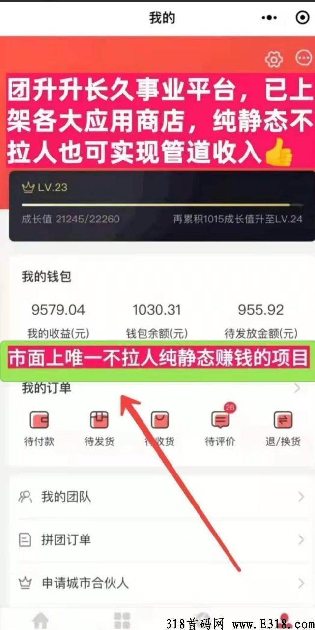 全网唯一躺赚项目，不用推广也有收益