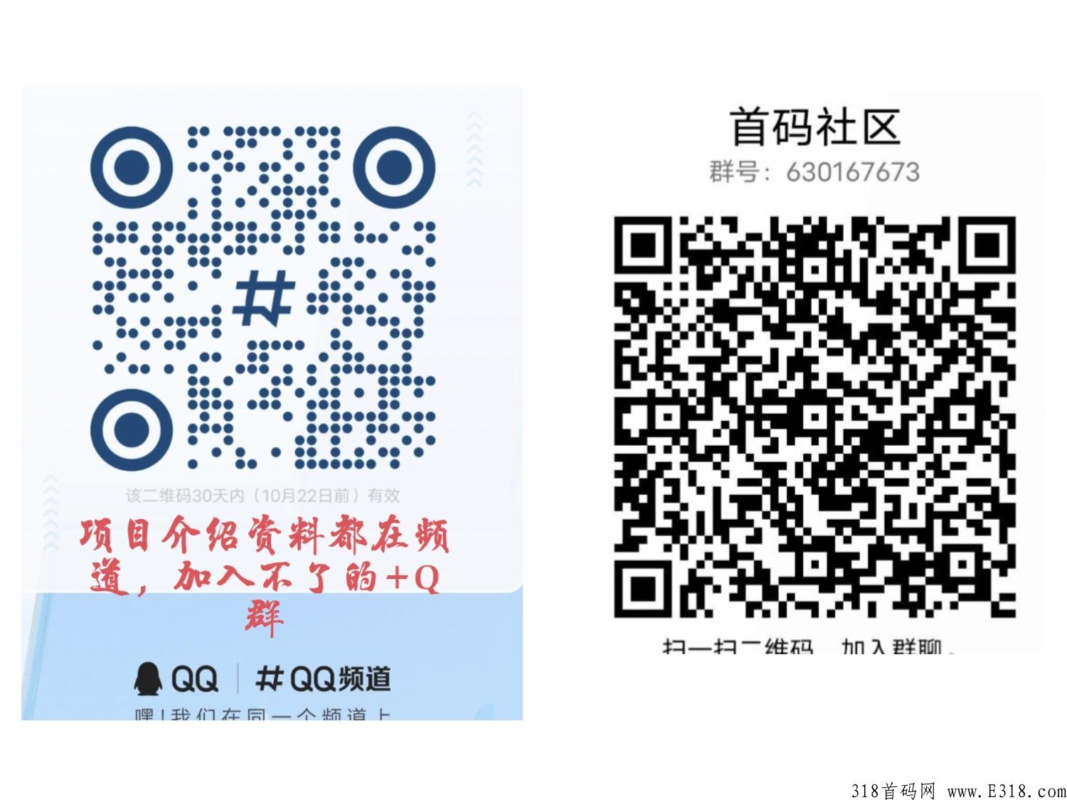 西游抗米首码上线，注册就有扶持