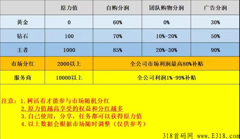 未来世界邀请码，app怎么玩