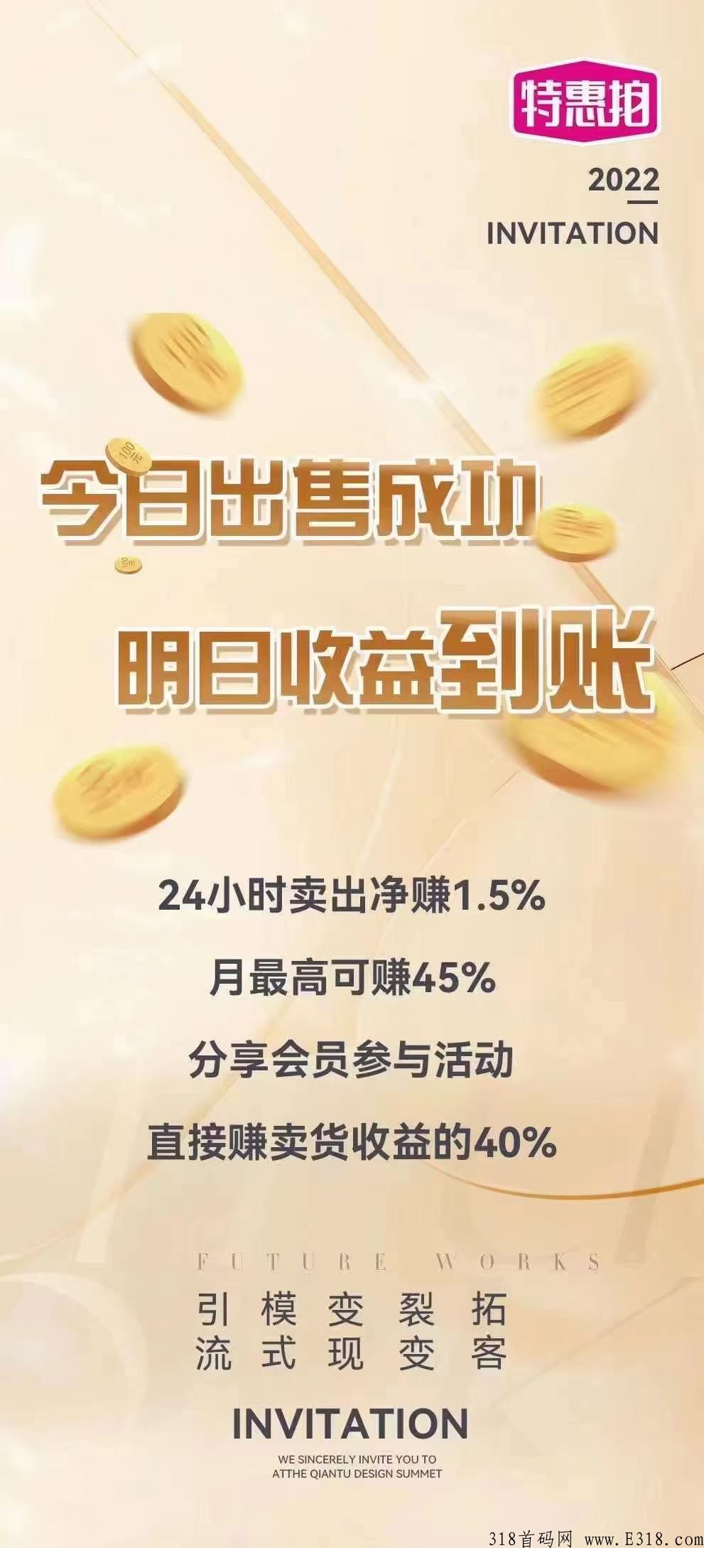 跨年项目【特惠拍】首码项目上线倒计时2天
