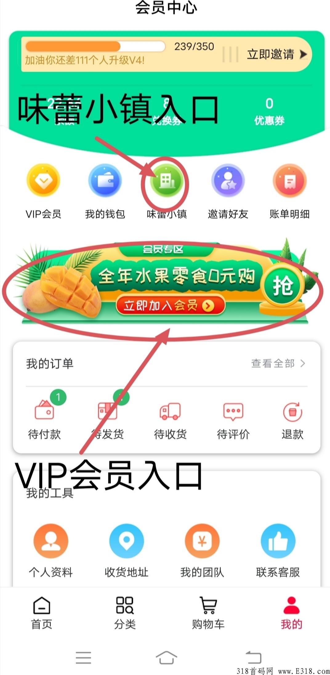 味蕾稀品即将重大更新，正式起飞，兜底，没上车的速度上车了