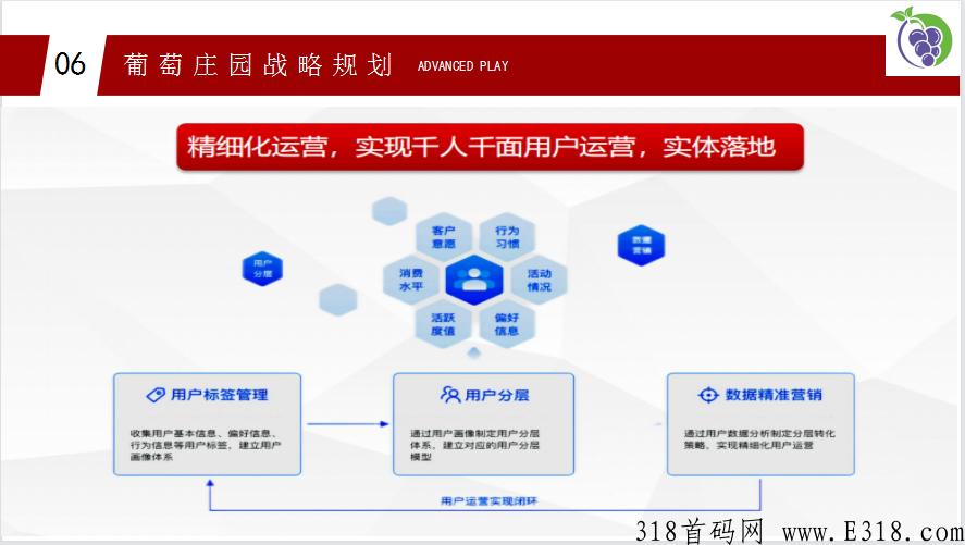 葡萄庄园，商城和卷轴搭配游戏创新玩法【永久摘葡萄没有下车，团队永不流失】盛大入驻首码项目