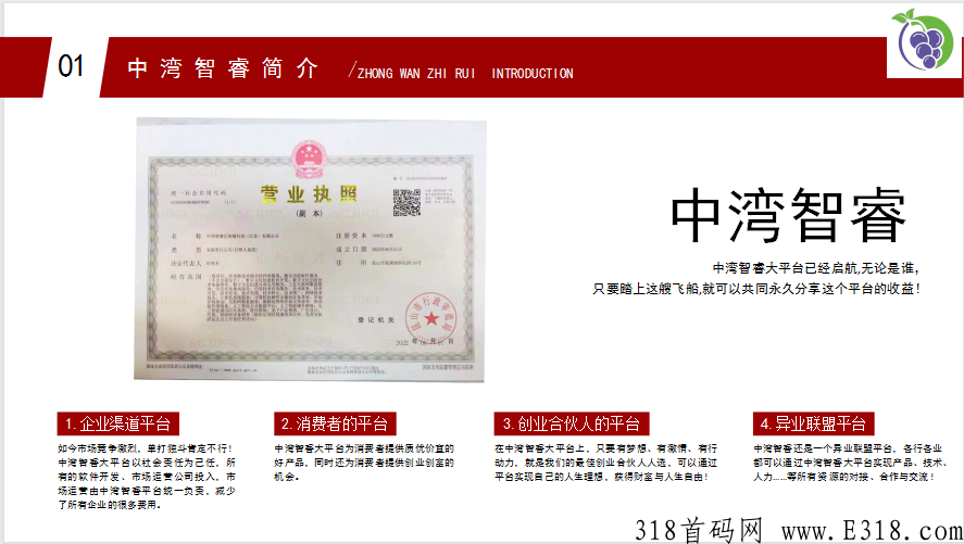 葡萄庄园，商城和卷轴搭配游戏创新玩法【永久摘葡萄没有下车，团队永不流失】盛大入驻首码项目