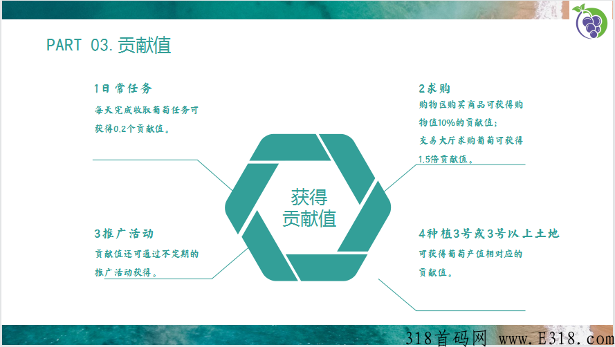 葡萄庄园，商城和卷轴搭配游戏创新玩法【永久摘葡萄没有下车，团队永不流失】盛大入驻首码项目