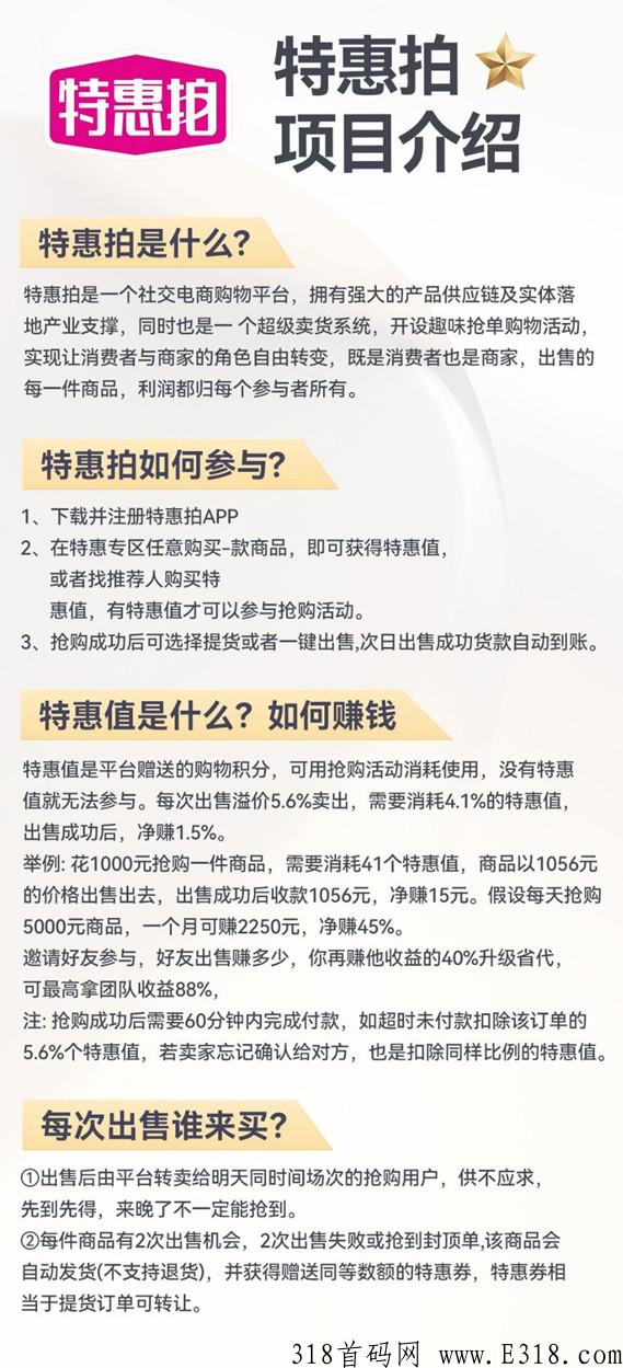 特惠拍竞拍模式，扶持高，首码刚刚上线，实体老牌公司支持考察，跨年大项目