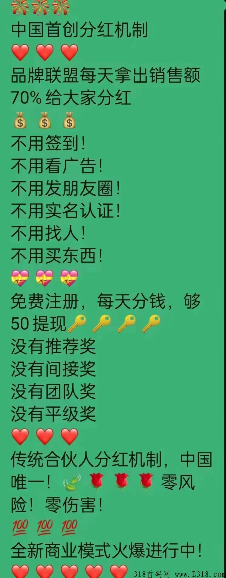 品牌联盟，投资都可以，王炸项目