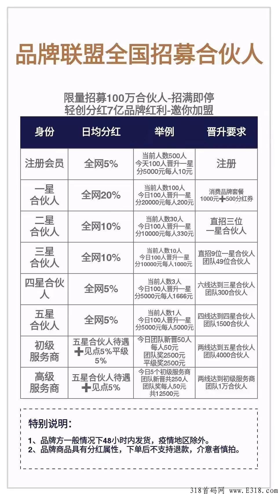 品牌联盟，实体大公司招募合伙人
