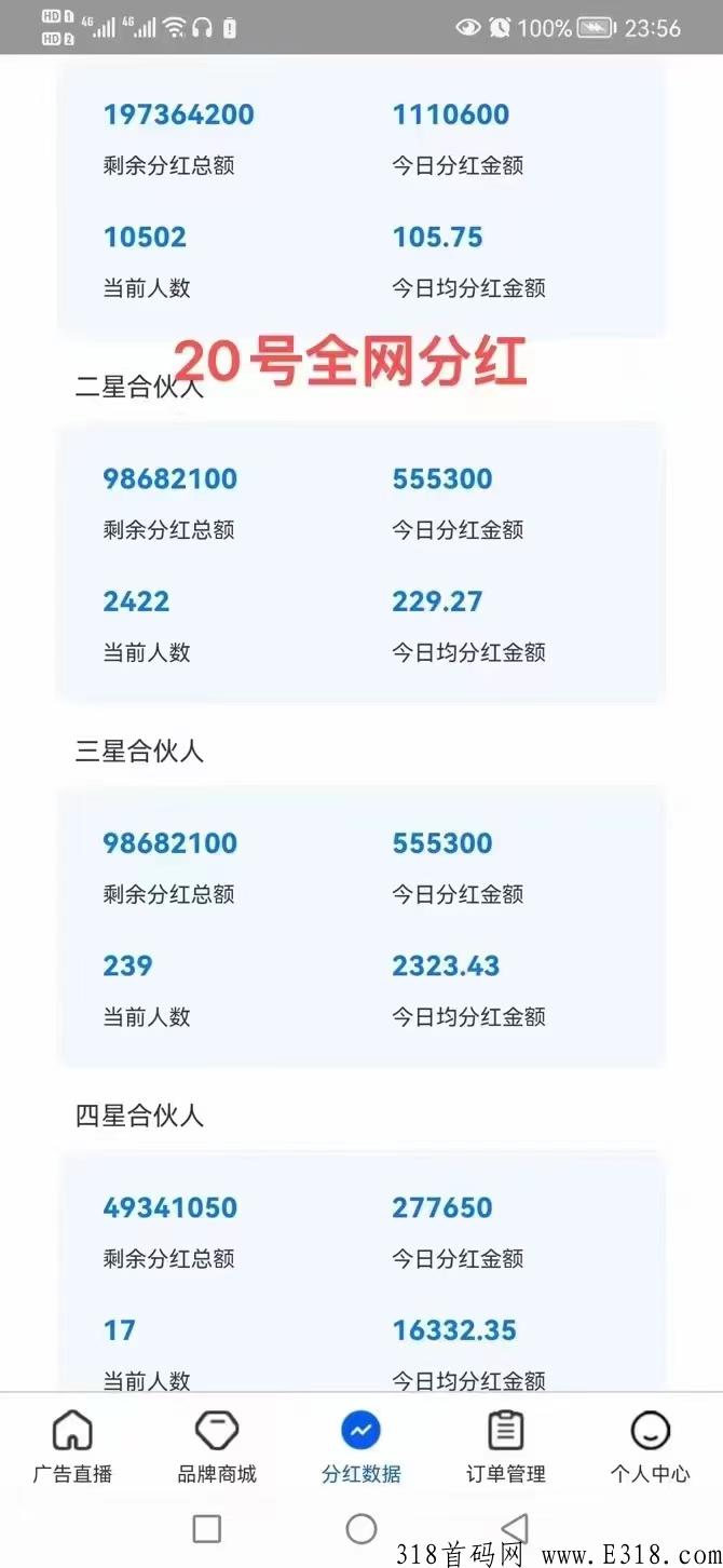 品牌联盟，实体大公司招募合伙人