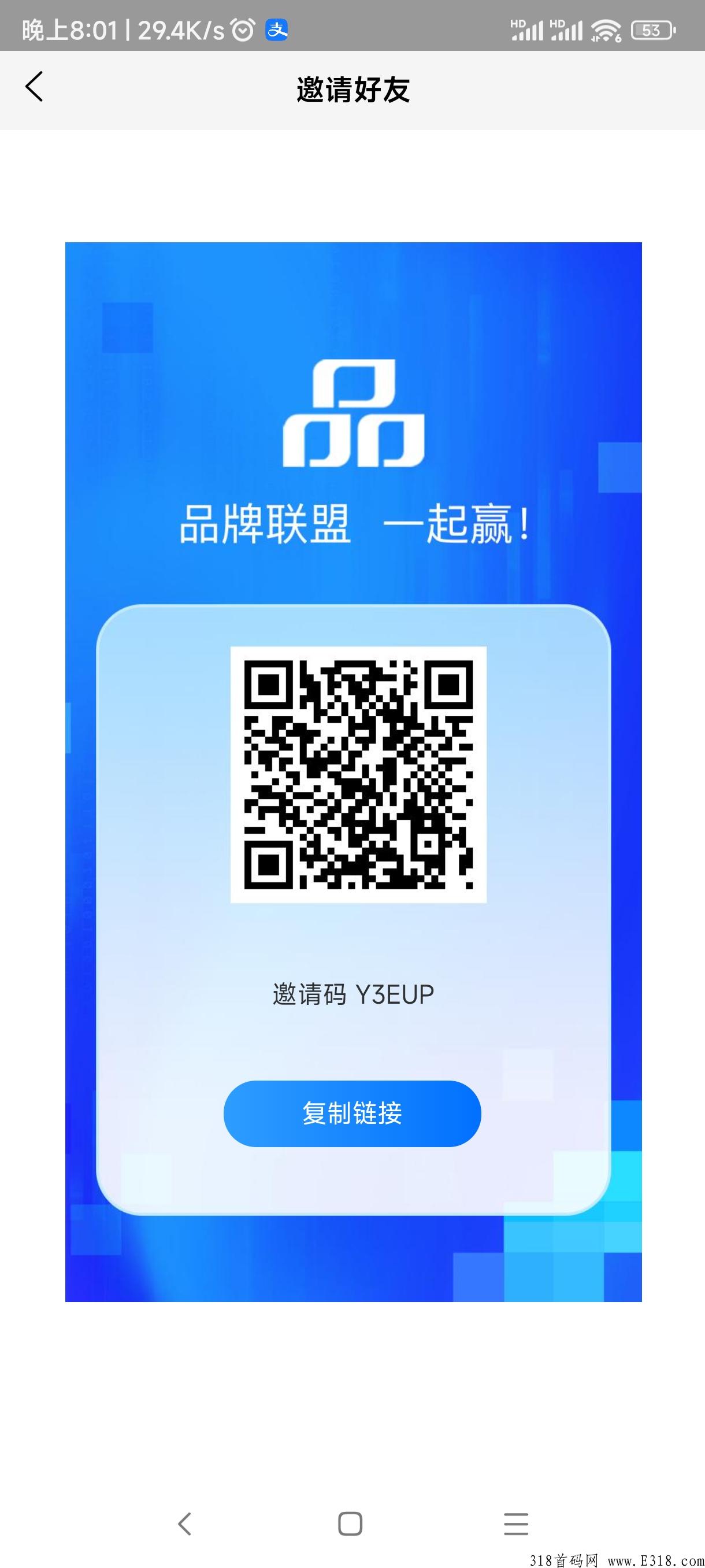 品牌联盟，实体大公司招募合伙人