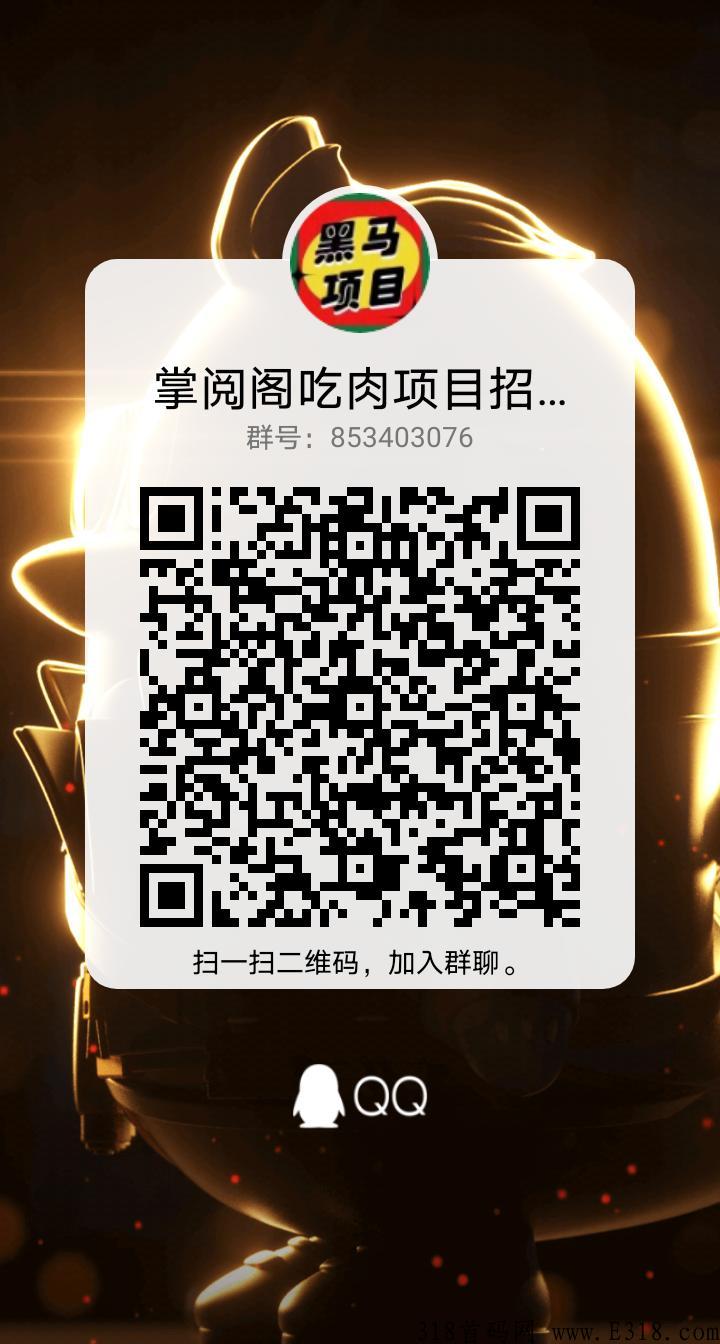 掌阅阁团队入住公司全网最高扶持对接