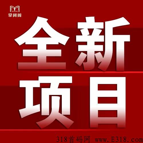掌阅阁团队入住公司全网最高扶持对接