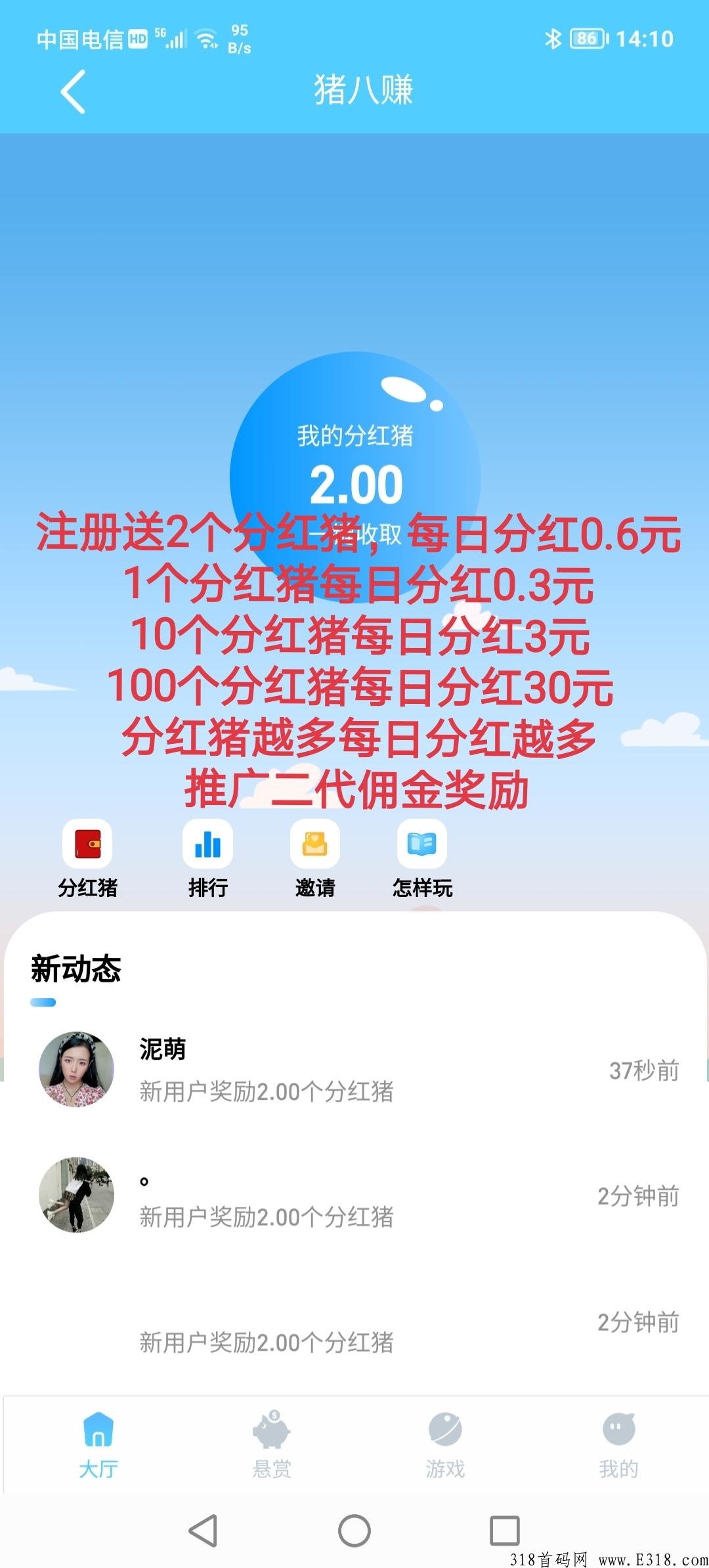 首码，猪八赚，分奖励项目，收益高，全程零投资