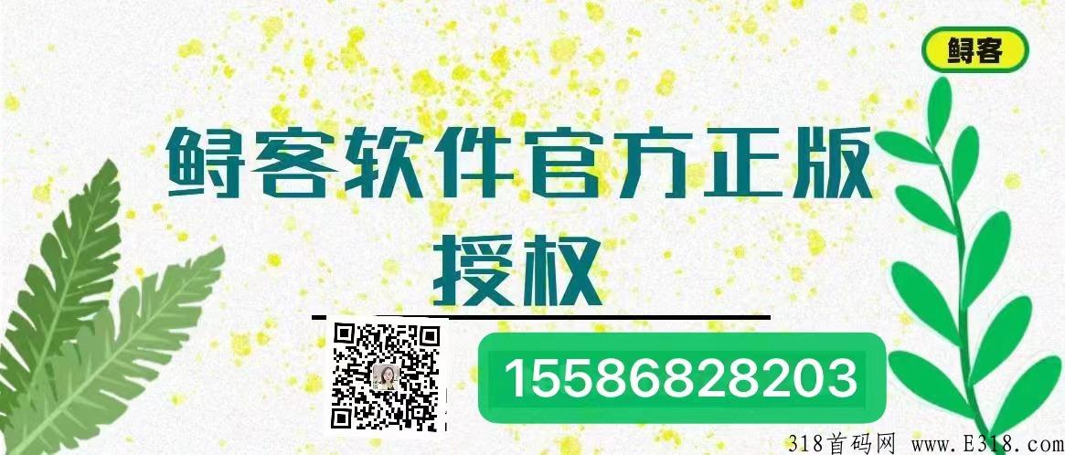 官网鲟客软件工作室招商加盟落地性强轻松好经营