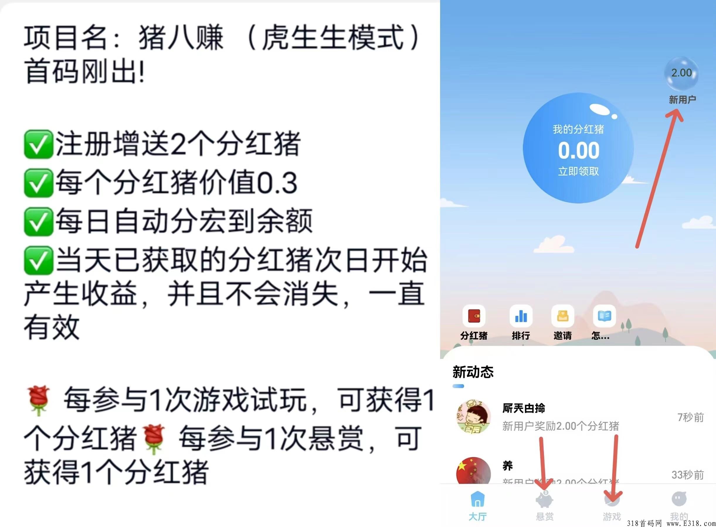 首码，刚出一秒，猪八赚