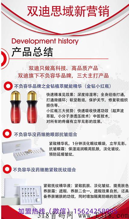大连双迪思域新营销项目，面向各地对接团队长