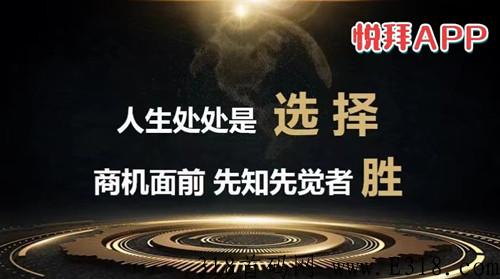 悦拜官方邀请码到底是哪个 悦拜是什么模式 悦拜官方邀请码到底是哪个 悦拜是什么模式