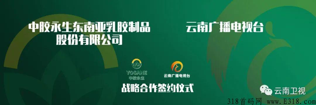 中胶电商是什么项目(中胶电商简介)，实体背书2022跨年大项目
