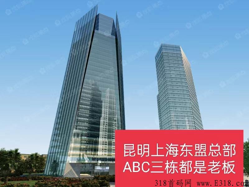 中胶电商是什么项目(中胶电商简介)，实体背书2022跨年大项目