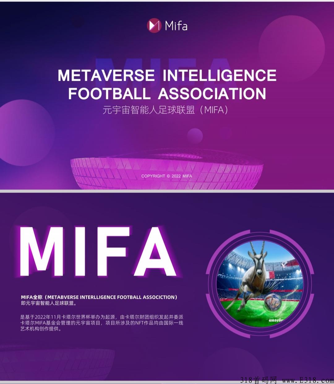 卡塔尔世界杯，天王项目，NFT赋能AI虚拟主播，市场部统一对接
