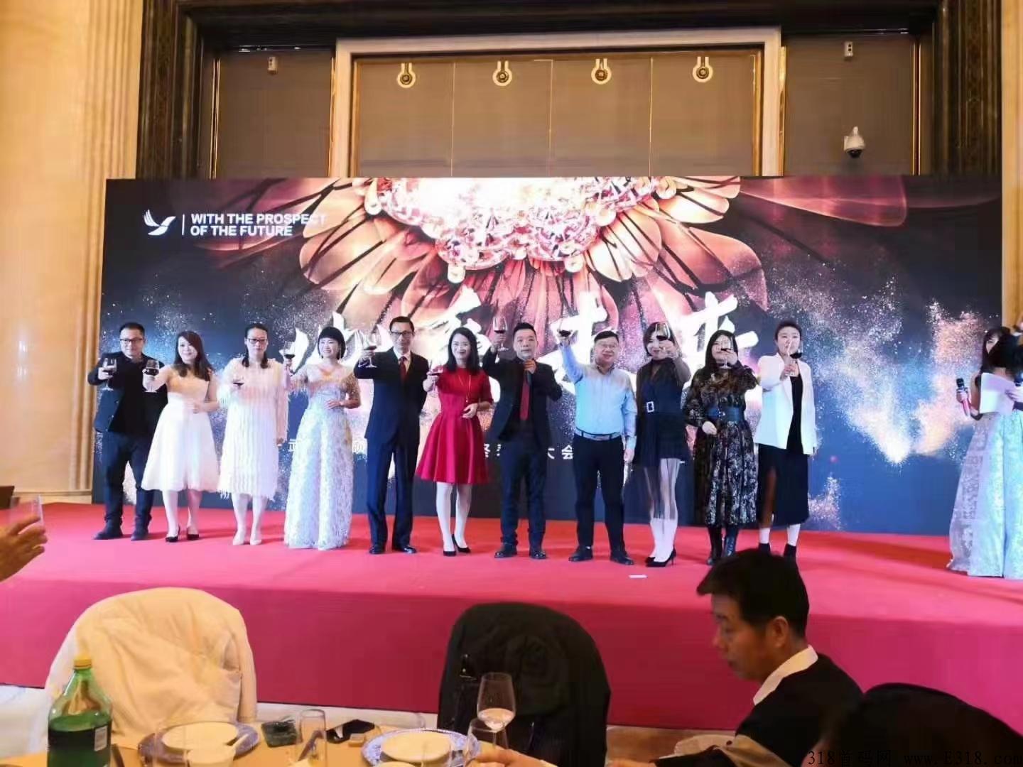 黑仓全新1+N模式，即将上线，对接首批核心团队