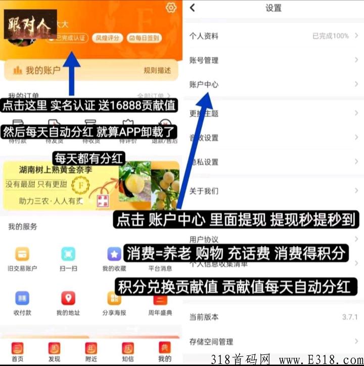 加入君风凰，轻松赚米不是梦