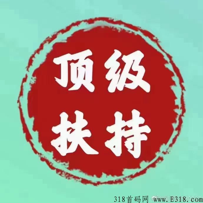 泰山会SUN 首码对接，扶持拉满，天花板级千亿现金流大盘，月底上线