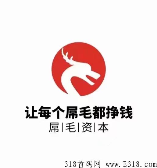 XM华尔街，月收益高，非项目，0费用！资本独家专属